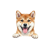 Shiba inu.png