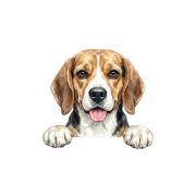 Beagle.png