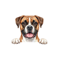 bokser.png