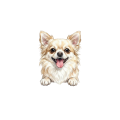 chihuahua długowłosa.png