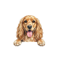 cocker spaniel.png