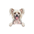 Grzywacz.png