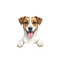 jack russell terrier.png