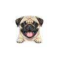 mops.png