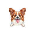 Papillon.png
