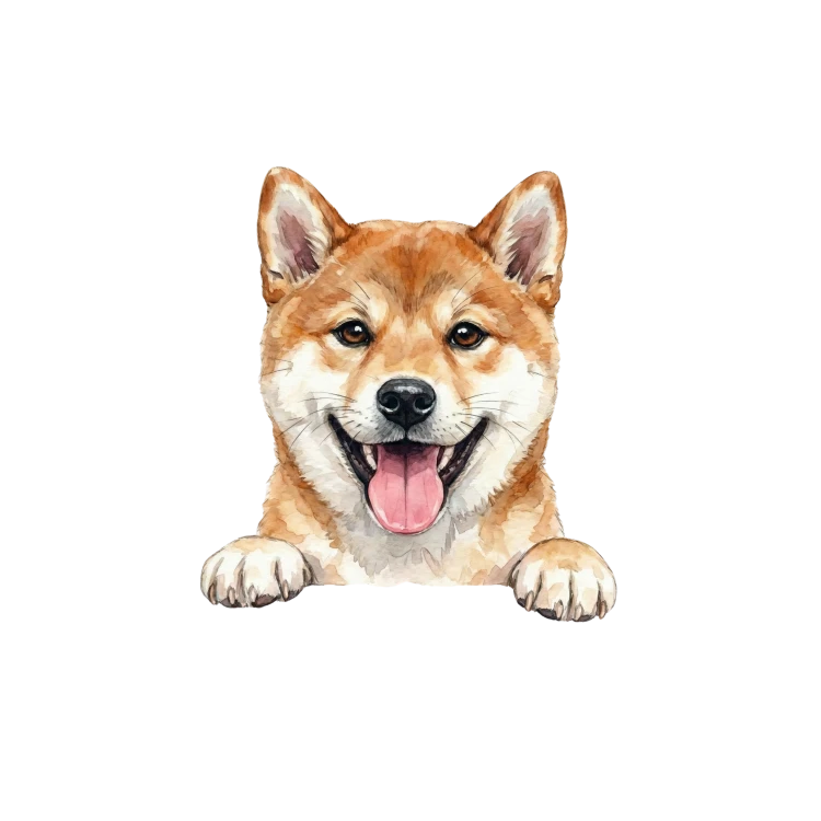 Shiba inu.png