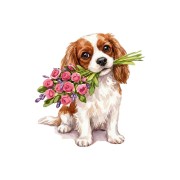 cavalier kwiatki.jpg