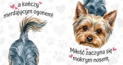 Kubek 450 ml z rasą psa do wyboru – york