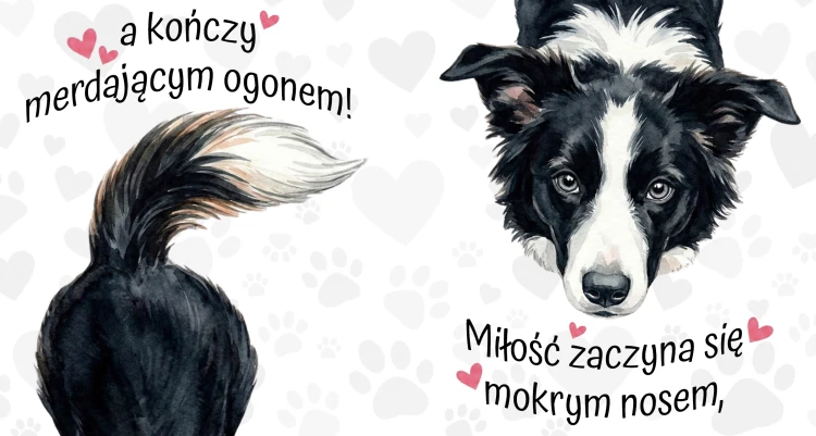 Kubek 450 ml z rasą psa do wyboru – border