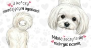 Kubek 450 ml z rasą psa do wyboru – maltańczyk