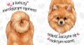 Kubek 450 ml z rasą psa do wyboru – pomeranian