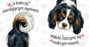 Kubek 450 ml z rasą psa do wyboru – cavalier tricolor
