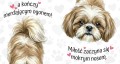 Kubek 450 ml z rasą psa do wyboru – shih tzu