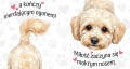 Kubek 450 ml z rasą psa do wyboru – maltipoo