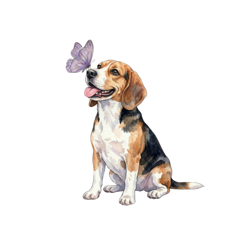 Piesek z motylkiem - beagle