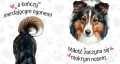 miłość zaczyna się mokrym nosem - sheltie.jpg
