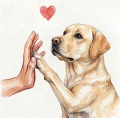 Labrador.png
