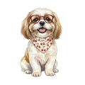 Shih tzu.png