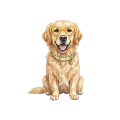 golden.png