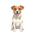 jack russell terrier.png