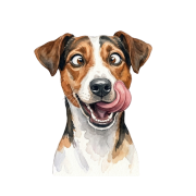 Jack russell terrier.png