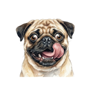 Mops.png