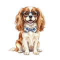 cavalier.png