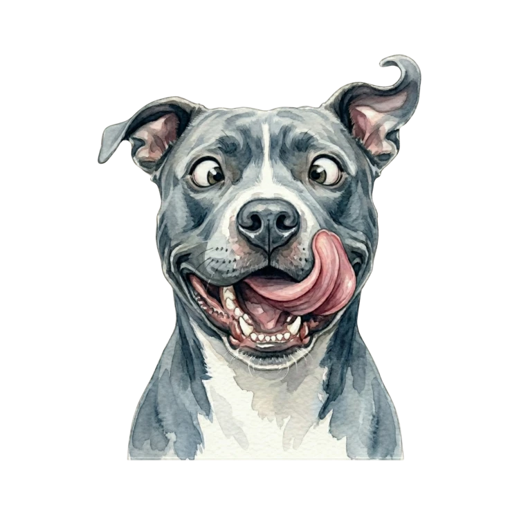 Amstaff.png