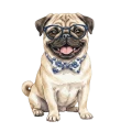 mops borówki.png