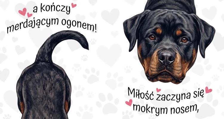 rottwailer.jpg