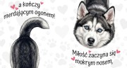 husky.jpg