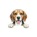 Beagle.png