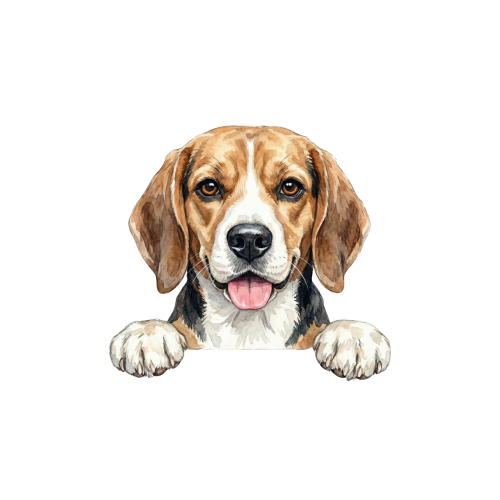 Beagle.png