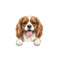 cavalier.png