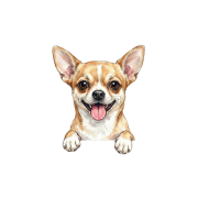 chihuahua.png