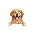 golden.png