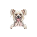 Grzywacz.png
