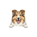 owczarek szkocki.png