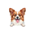 Papillon.png