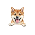 Shiba inu.png