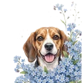 niezapominajki pieski - beagle.png