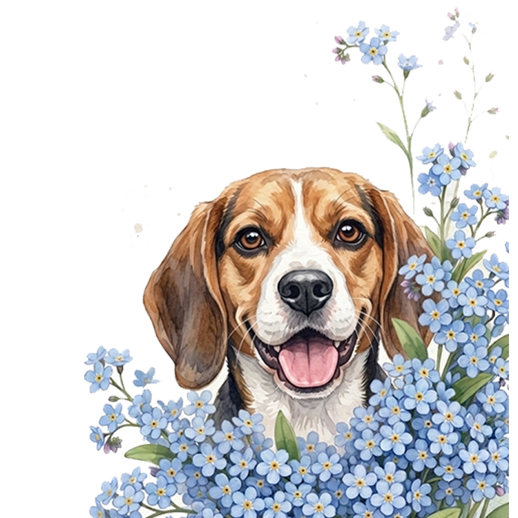 niezapominajki pieski - beagle.png