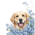 niezapominajki pieski - golden.png