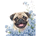 niezapominajki pieski - mops.png