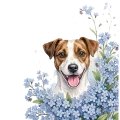 niezapominajki - jack russell terrier.png
