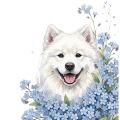 niezapominajki - samoyed1.png