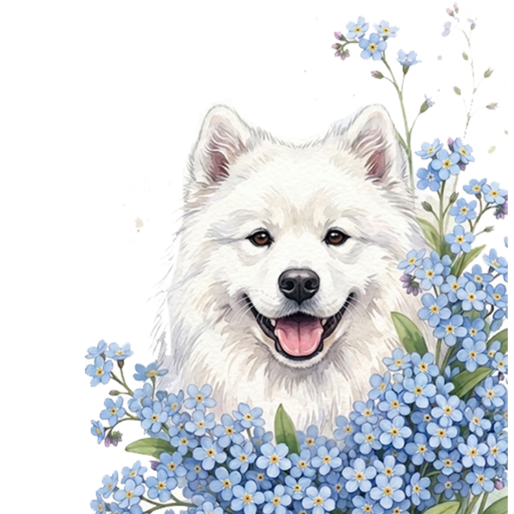 niezapominajki - samoyed1.png
