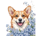 niezapominajki corgi.png