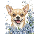 niezapominajki chihuahua.png