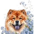 niezapominajki pieski — chow chow.png